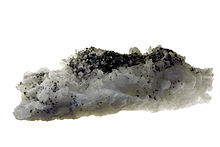 Orthoclasa Orthoclasa